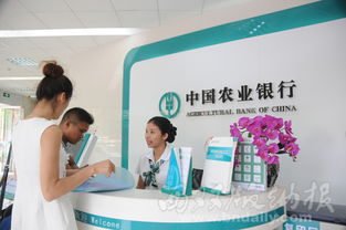 沿邊金融改革助力西雙版納州對外經濟貿易發展